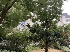 石路三元四村业主诚心出售,楼层位置好,诚心出售!低楼层