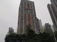 金科云湖天都洋房 带大花园 大地下室