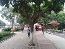 彩云湖畔 阔气四房 户型方正 配套完善 邻轨道