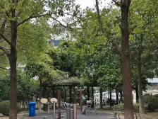 青苑新村六区西 3室2厅 西南