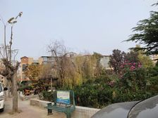 绿林苑满五唯一商品房,南北通透,落地窗,采光好