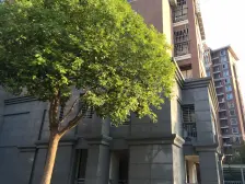 百鸟苑 3室1厅 南