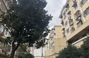 淞滨路77弄小区实景图