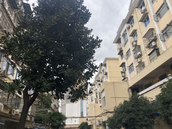 淞滨路77弄小区实景图