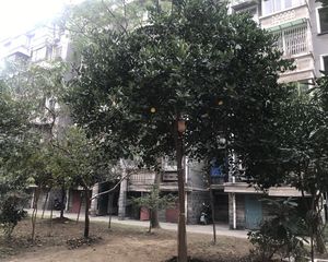 房东诚心出售,看房提前联系,小面积总价低