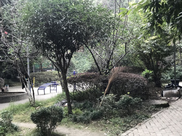 东林小区实景图