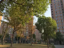 满五 户型方正 全南户型 无增值税