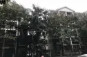 东林小区实景图