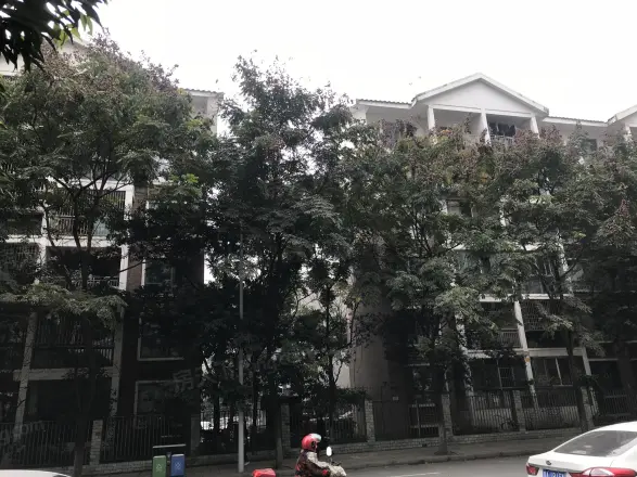 东林小区实景图