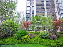 博观新城带车位全天采光出行便利证过二