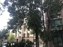 宝林春天苑满五2006年房龄新,飞机户型,采光好