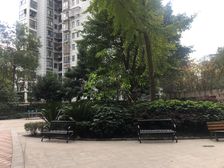 上行锦绣 3室2厅 西北