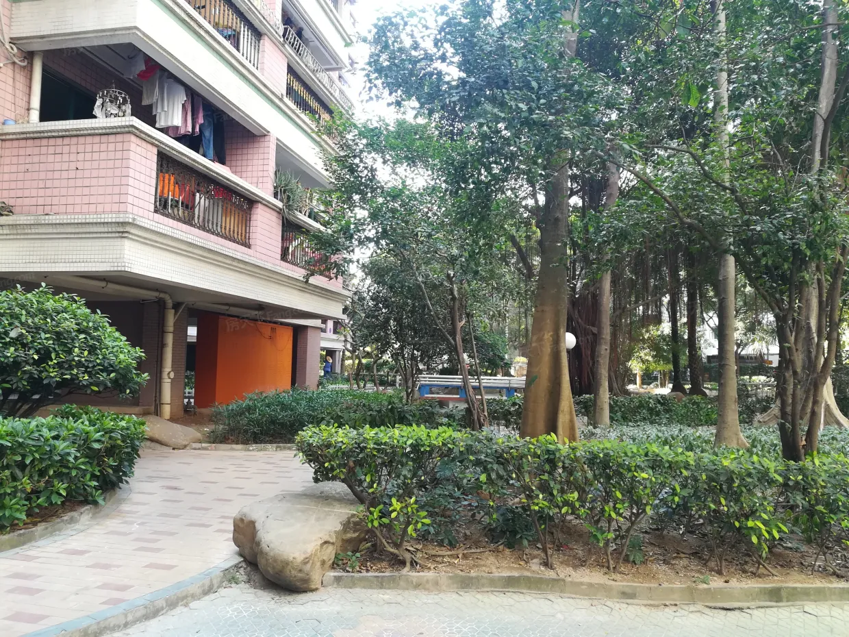 别名:金雅苑一期