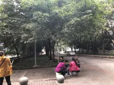 杨家坪 珠江彩世界一房36万