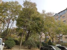 绿林苑3室2厅南北