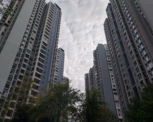 东苑E区4室2厅南