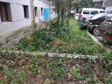 红阳小区2室1厅南