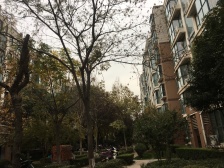 3/4号线地铁口,电梯,小两房,简装,家具家电齐全