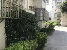 使用面积290平 、 十min到地铁 、 露台多肉阳光