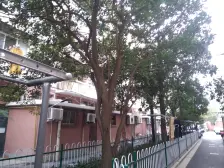 美丽家园小区,满五年,中间楼层,视野采光好