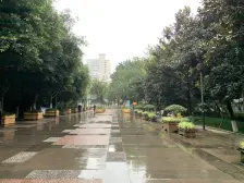 此房小区成熟,住家安静,小区绿化好,