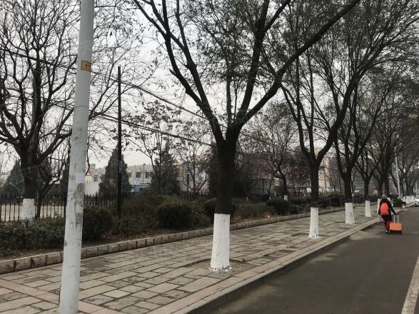 园林小区二区实景图