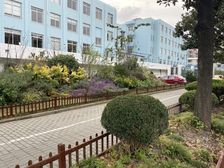 川沙城区位置 买一层送一层 看房随时方便