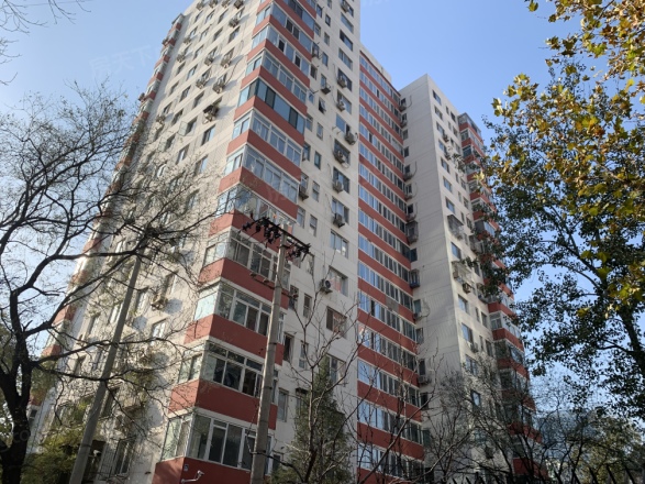 非常生活实景图