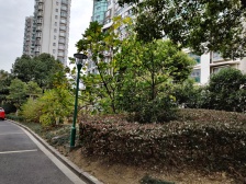 狮山·恒达清水园·4室·2厅