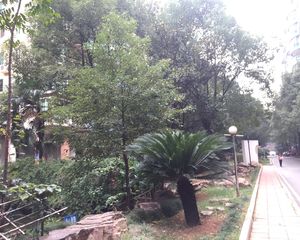 二环内小高层顶复,旁边配套成熟,业主诚心出售