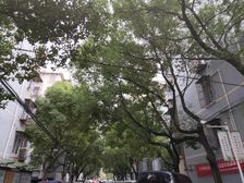 甬兴新村3室2厅南