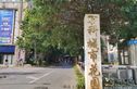 万科城市花园实景图