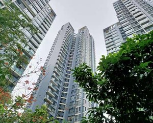 大城际 3室1厅 东南