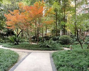 鸿阁一号2室2厅东
