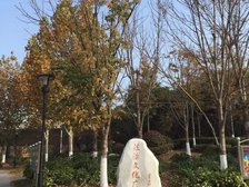 星嘉花园,步梯房顶楼复式,带阁楼,有产权,诚心卖