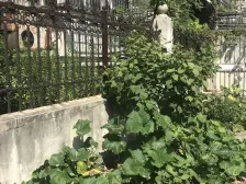 近地铁,大三房,生活气息浓厚。