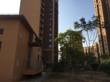 佘山·佘北家园紫鹃苑·2室·1厅