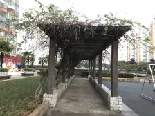 电梯好楼层,通透户型,采光充足,楼幢位置安静