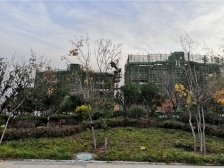 轻轨旁 视野好 观湖景复式精装直接入住