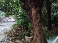 欣阳广场 两梯四户带露台 小区环境好朝南采光好