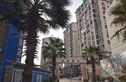北岸晏城实景图