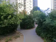 启福中原 1室1厅 南 北