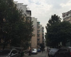 富绿新村3室1厅南北