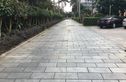 嘉和丽景实景图