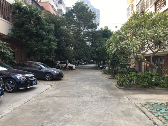 天和花园实景图