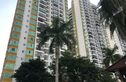 嘉和丽景实景图