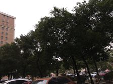九亭大街电梯大一房位置好出行方便诚意卖看房随时