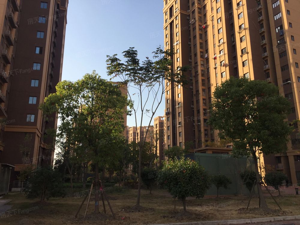 小区相关图