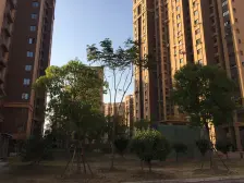 边套户型,全明窗户,税费低,总价低,视野好