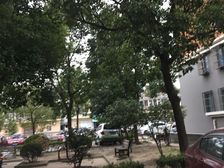 新上房源,已改2房,九亭大街中心地段